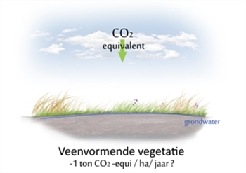 Veenvomende vegetatie met een uitstoot van min 1 ton co2 per hectare per jaar.