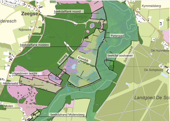 Vereenvoudigde kaart van het gefragmenteerde projectgebied Roodzanden, dat ligt tussen Zeegse en Landgoed De Schipborg.