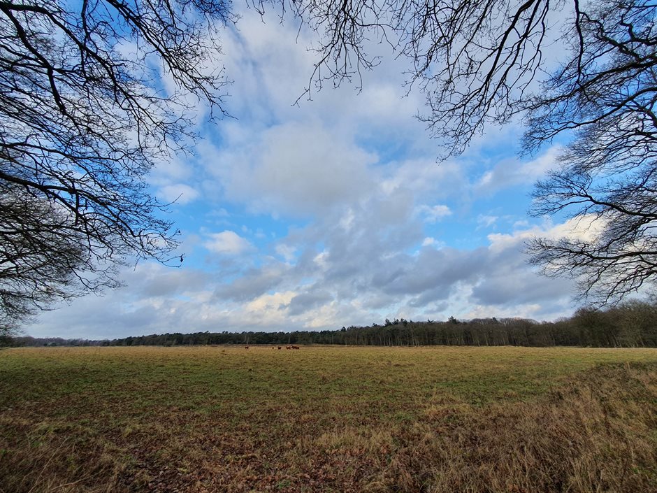 Roodzanden verandert tijdelijk, de natuur wint blijvend