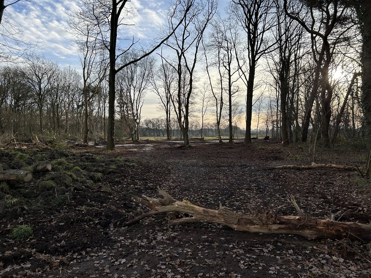 noordelijke bosdoorsteek 4