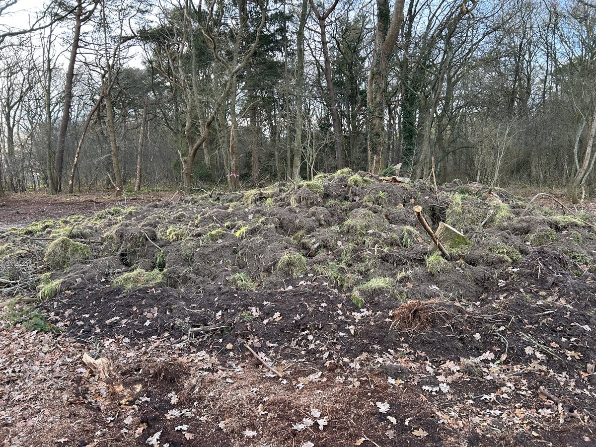 reptielenhotel noordelijke bosdoorsteek