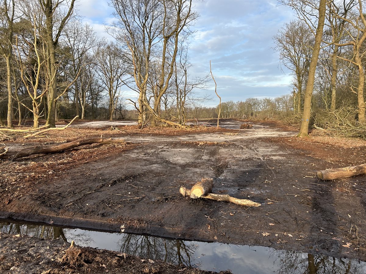 reptielenhotel noordelijke bosdoorsteek 2