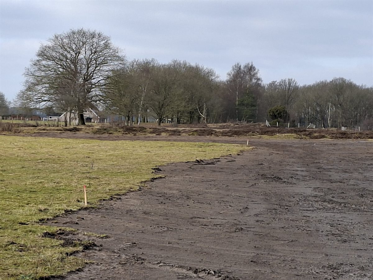 rand molenveld_23-2-2026