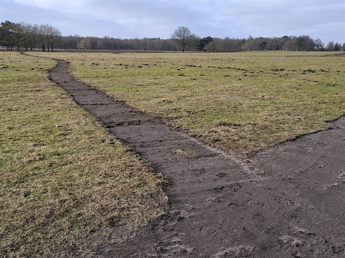 wandelpad molenveld _2026-02-23