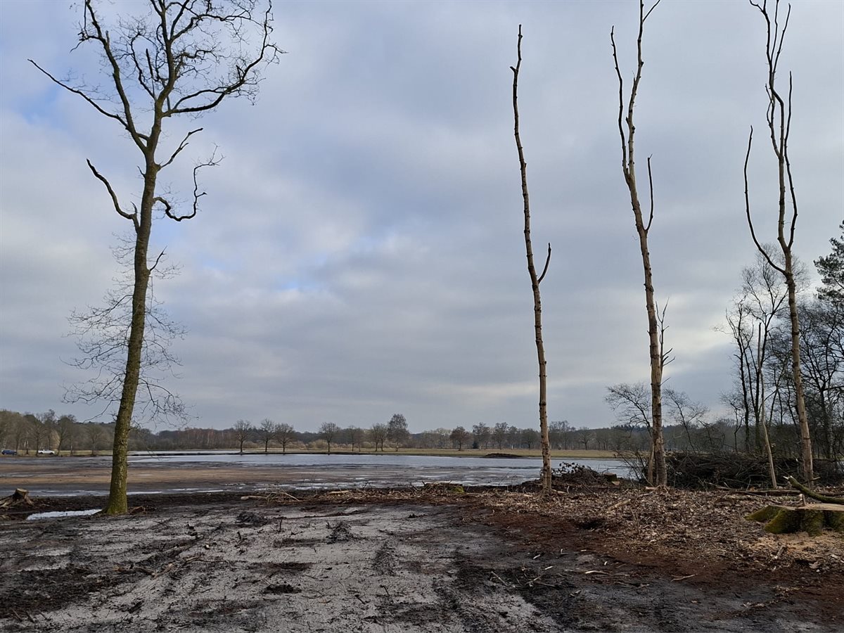 zuidelijke doorsteek 1 _2026-02-23