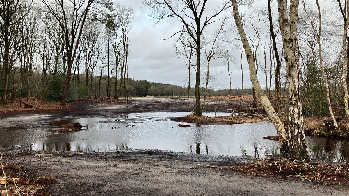 zuidelijke doorsteek 1 2026-02-23