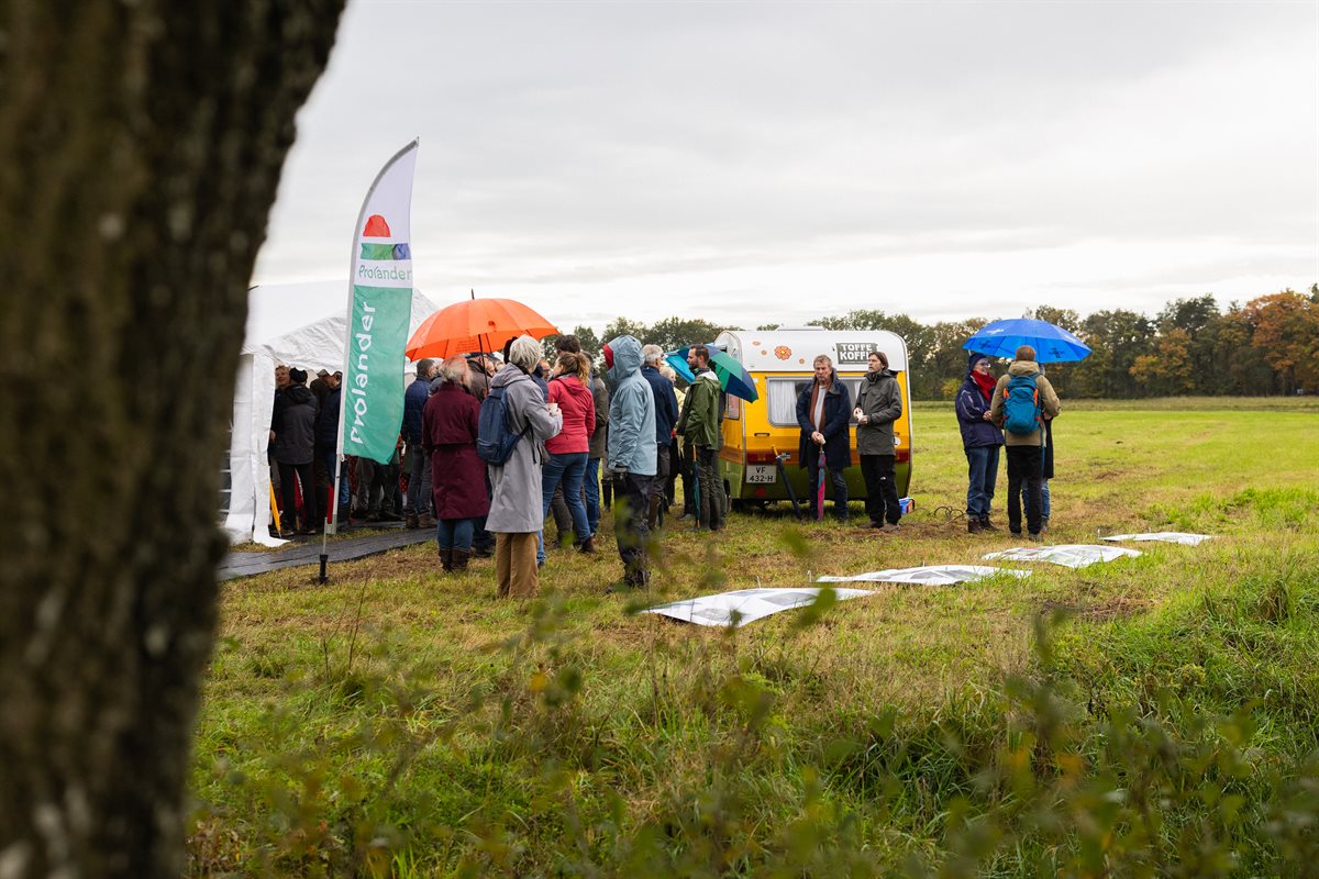 De dag begon met miezer maar tijdens de excursie brak de zon door